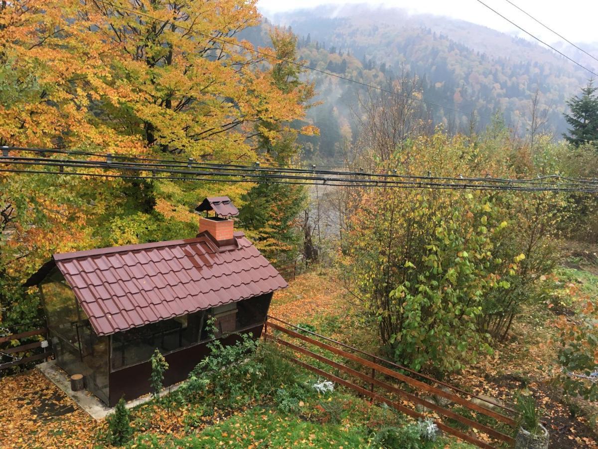 Mini-Hotel Serpanok Mykulychyn Buitenkant foto